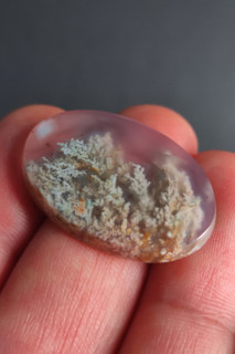نگین عقیق شجر بهاری هفت رنگ