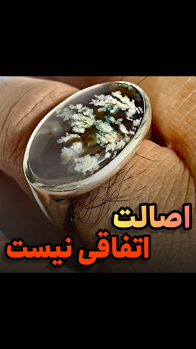 انگشتر مردانه نقره 925 شجر بهاری